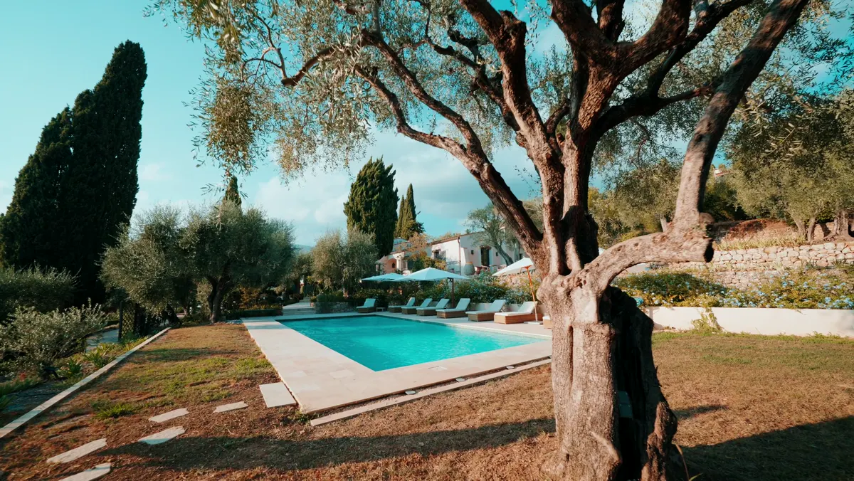 Villa provençale, Olivier et piscine